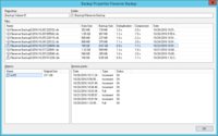 Screenshot of backup properties. Veeam Backup & Replication does not back up "dirty blocks" on VM guest OS.